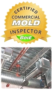 commercial mold inspection course